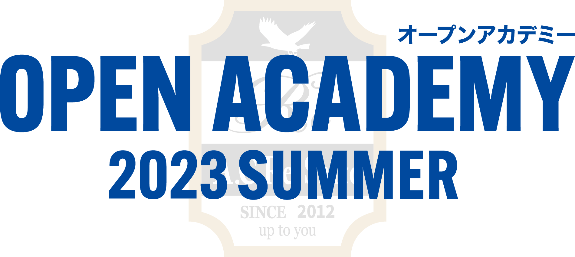 OPEN ACADEMY